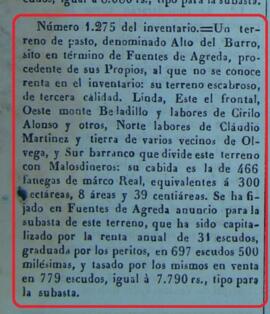 Terreno de pastos Alto del Burro en Fuentes de Ágreda (Soria)