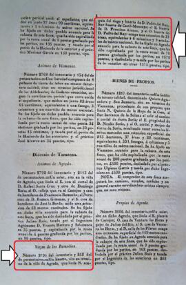 Un huerto en Ágreda