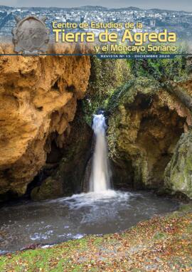 Revista nº 15