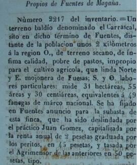 Un terreno baldío denominado El Carrascal de Ólvega